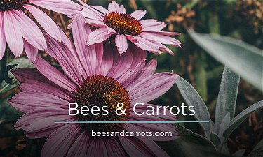 BeesAndCarrots.com