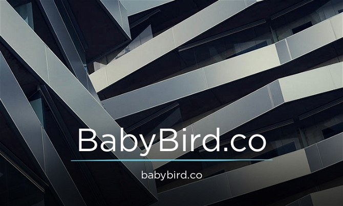 BabyBird.co