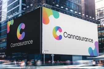 CANNASURANCE.com - Creative brandable domain for sale