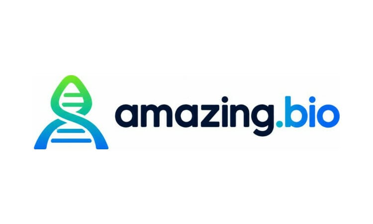 amazing logo