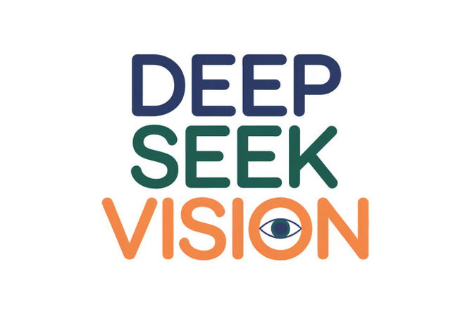 DeepSeekVision.com