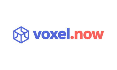 voxel.now - Creative brandable domain for sale