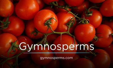 Gymnosperms.com - Creative brandable domain for sale