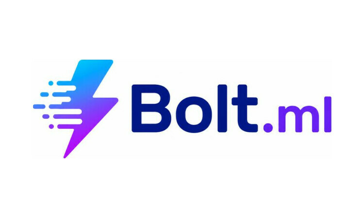 Bolt logo