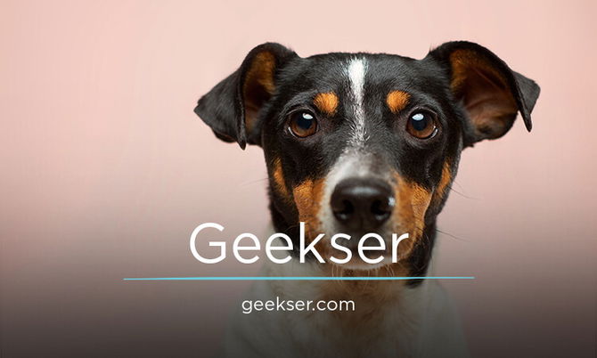 Geekser.com