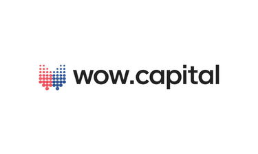 Wow.capital - Creative brandable domain for sale