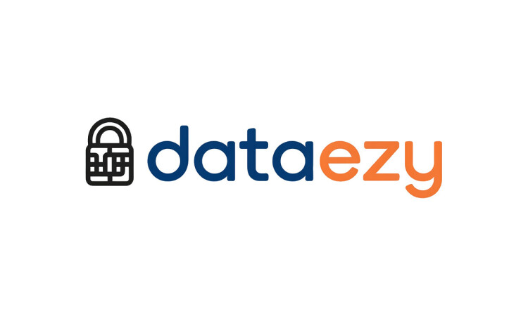 DataEzy logo