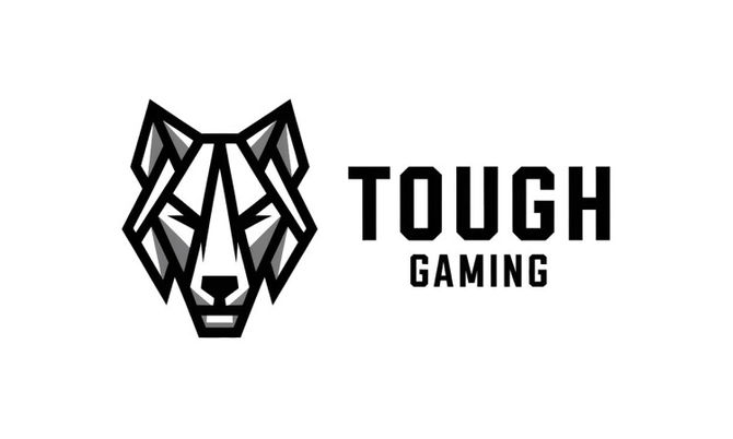 ToughGaming.com