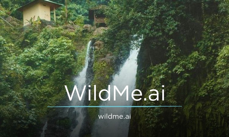 WildMe logo