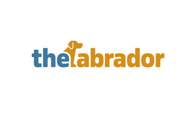 thelabrador.com - Creative brandable domain for sale