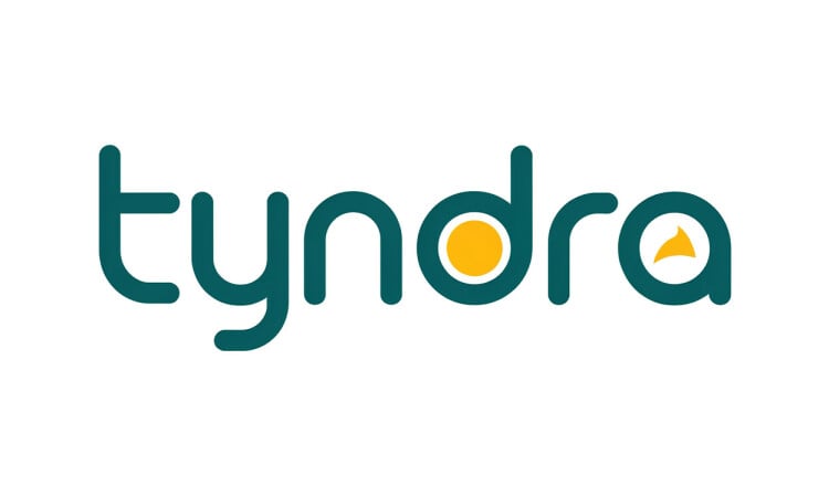 Tyndra logo