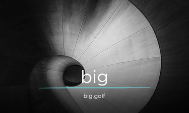 big logo