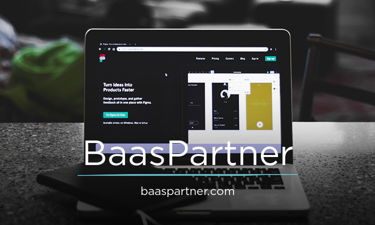 BaasPartner.com - Creative brandable domain for sale