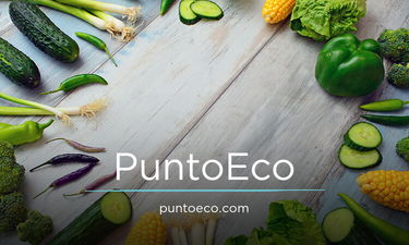 PuntoEco logo