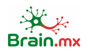 Brain.mx