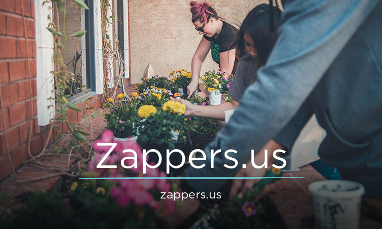 Zappers logo