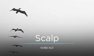 Scalp.xyz - Creative brandable domain for sale