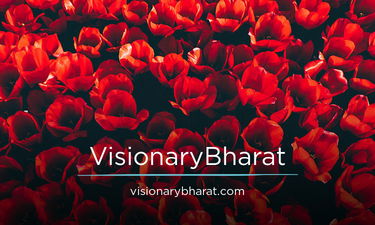 VisionaryBharat.com - Creative brandable domain for sale