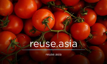 Reuse.Asia - Creative brandable domain for sale