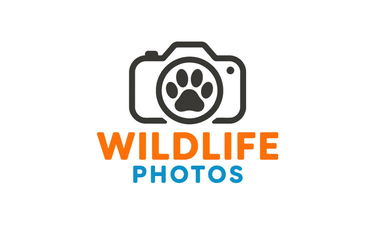 WildlifePhotos.com - Creative brandable domain for sale
