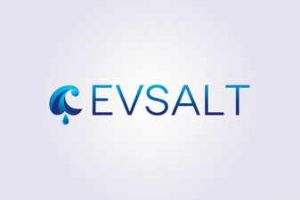 EVsalt.com - Creative brandable domain for sale
