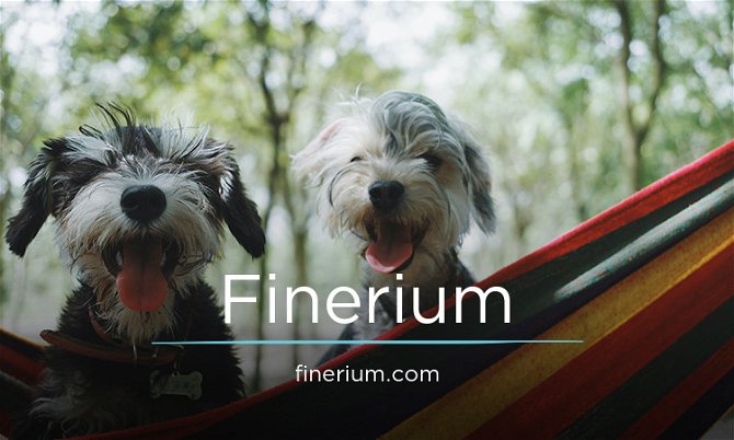 Finerium.com