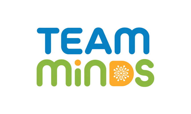TeamMinds.com