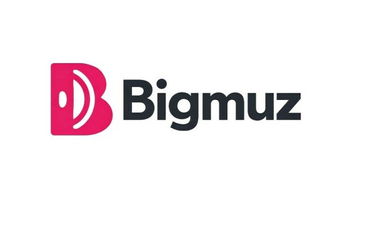 Bigmuz logo