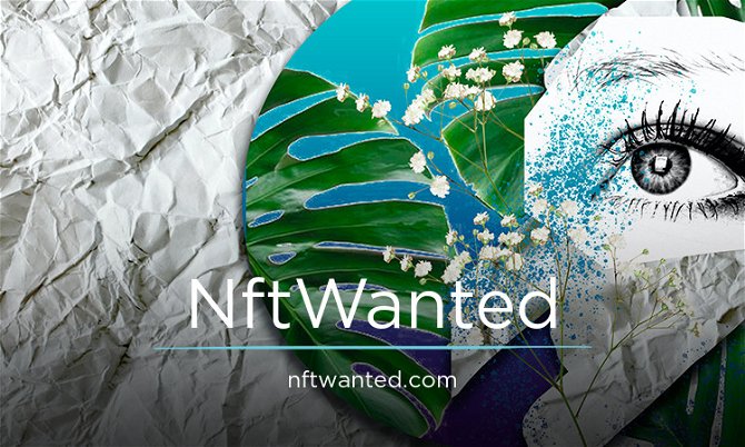 NftWanted.com