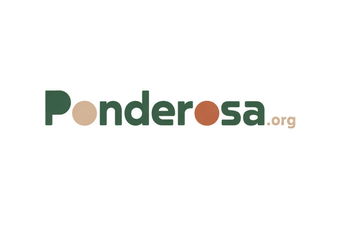 Ponderosa.org - Creative brandable domain for sale
