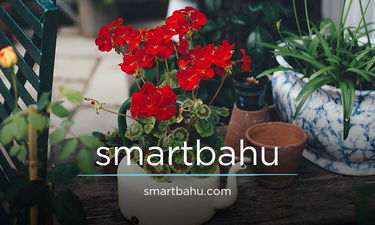 SmartBahu.com - Creative brandable domain for sale