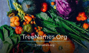 TreeNames.Org - Creative brandable domain for sale