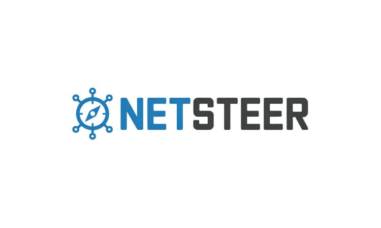 NetSteer logo