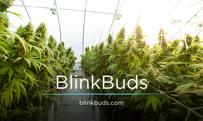 BlinkBuds.com