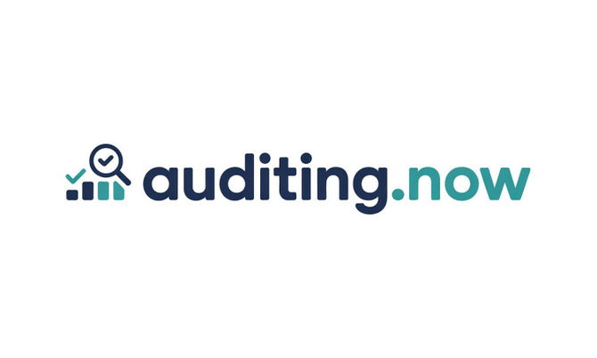 Auditing.now
