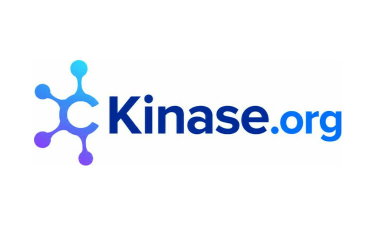 Kinase logo