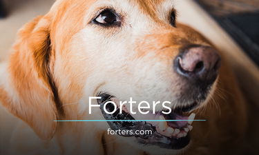 Forters.com - Creative brandable domain for sale