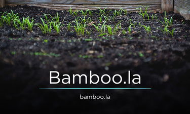 Bamboo.la - Creative brandable domain for sale