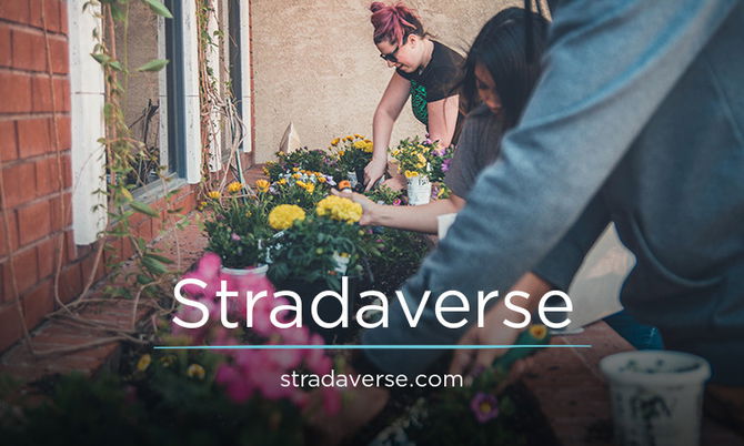 Stradaverse.com