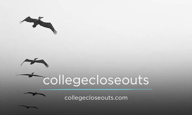 CollegeCloseouts.com - Creative brandable domain for sale