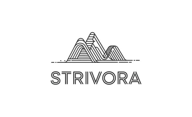 Strivora.com