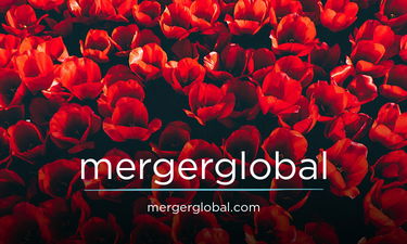 MergerGlobal.com - Creative brandable domain for sale