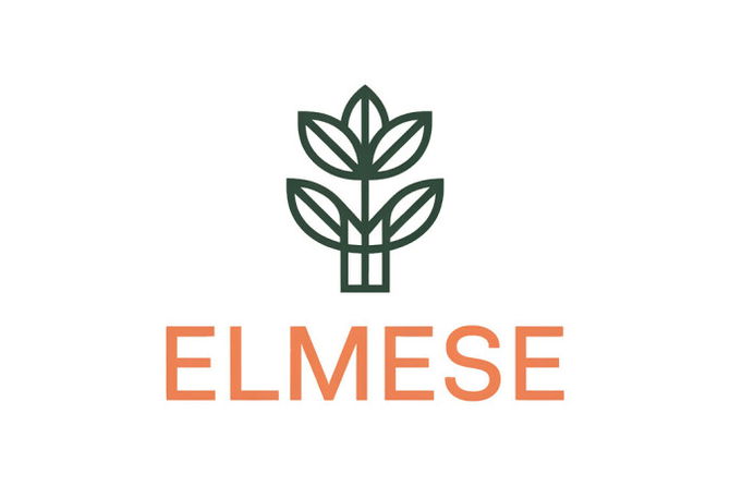 Elmese.com