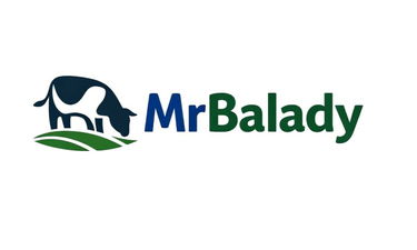 MrBalady.com is for sale