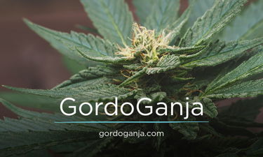 GordoGanja.com - Creative brandable domain for sale