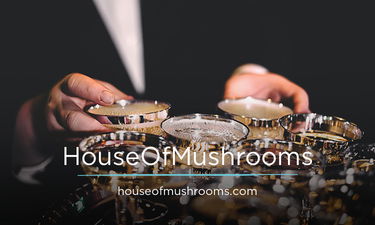 HouseOfMushrooms.com - Creative brandable domain for sale