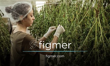 figmer.com