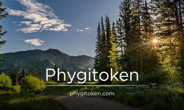 Phygitoken.com - Creative brandable domain for sale