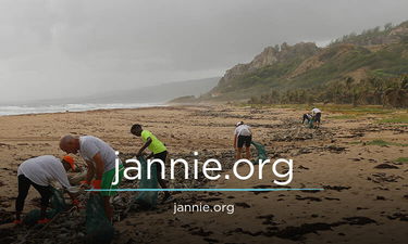 Jannie.org - Creative brandable domain for sale