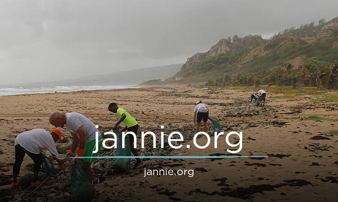 Jannie.org
